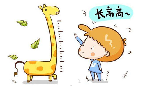 骨密度測(cè)量?jī)x廠家